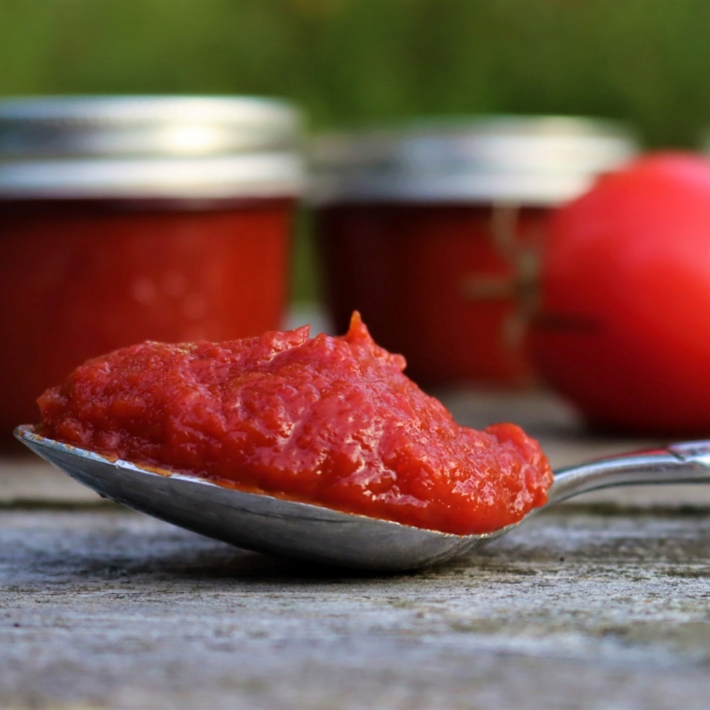 Tomato Paste Import and Exporters from South Africa